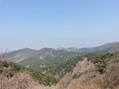 -金龙寺国家森林公园
