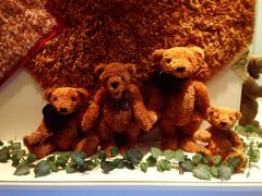 -济州岛泰迪熊博物馆