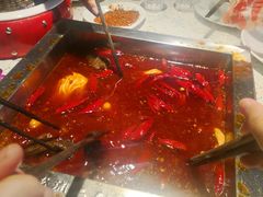 -二荆条·蜀鲜汇城市森林火锅