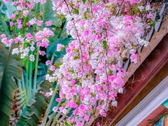 -深圳国际园林花卉博览园