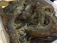 -三亚海韵度假酒店·渔人码头海鲜火锅BBQ自助餐厅·落日吧