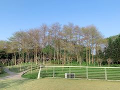 -文华公园(禅城区)