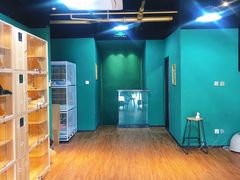 -猫十亿·布偶金渐层·曼基康矮脚猫舍(青年路店)