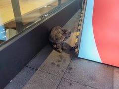 -ARTEASG啊T·新加坡奶茶(高兴里店)