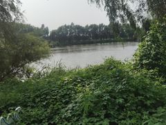-白渔泡湿地公园