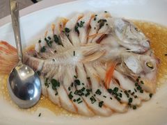 -骏莱海鲜鱼港(五角场店)