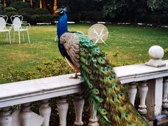 -J Create城市露营咖啡·简餐·宠物(上海动物园店)