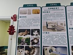 -乖乖宠物医院·猫科·急重症中心(车站北路分院)