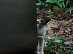 -燕晗山郊野公园