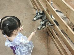 -正佳雨林生态植物园