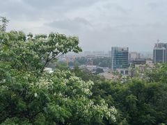 -佛山华盖山公园