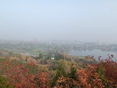 -丽泽山庄·生态怀柔菜·虹鳟鱼(红螺寺店)