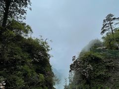 -峨眉山风景名胜区