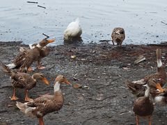 -白塘生态植物园