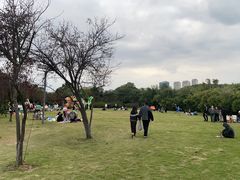 -江心屿景区