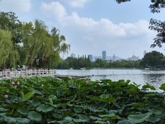-济南大明湖景区