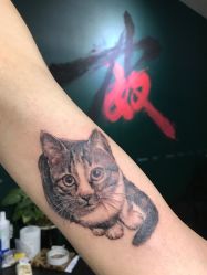 点击看大图 动物-PinooTattoo皮奴刺青纹身设计总部