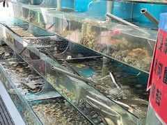 -仙螺岛海鲜自助餐厅(总店)
