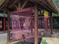 -观唐（国际）度假村温泉