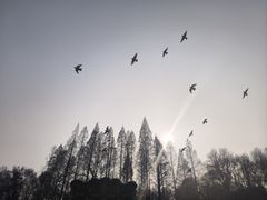 -音乐台