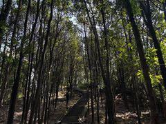 -火炉山森林公园