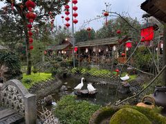 -青城甲(青城山店)