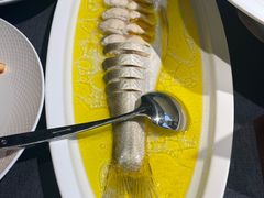 鸡汁大白鱼-食悦江南·淮扬菜·烤鸭(亚运村·惠新店)