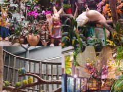 -正佳雨林生态植物园
