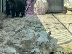 -黔灵山公园