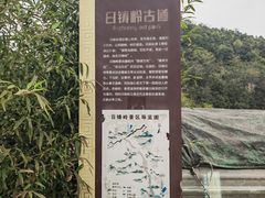 -会稽山峡洞漂流-上青古道