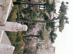 -迎泽公园