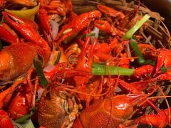 高压锅蒸大虾-蚝翅·海鲜粥·烧烤·宁夏滩羊季(玉米楼店)