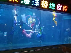 -蓬莱欧乐堡海洋极地世界