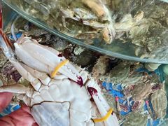 -蓝珊甄选海鲜自助·火锅大排档(近阿那亚店)