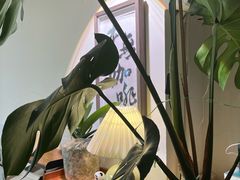 -本無咖啡·BeanWood Coffee