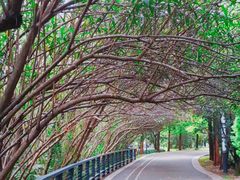 -苏州河梦清园环保主题公园