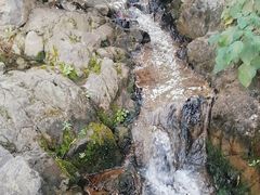 -鹿亭中村