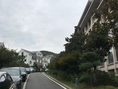 -松月湖大酒店