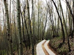 -白草畔自然风景区