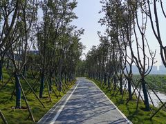 -月湖风景区