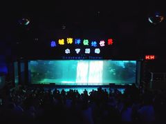 -泉城欧乐堡海洋极地世界