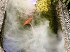 -顺承小院儿