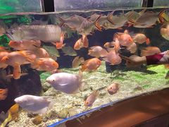 -太平洋海底世界