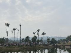 -枫香湖儿童公园