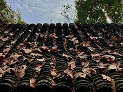 -上海佘山国家森林公园天马山园