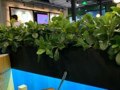 -东椰·海南椰子鸡火锅(朝阳门店)