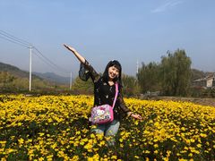 -千年银杏谷文化旅游区