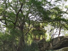 -乌山风景区