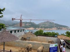 -西霞口神雕山野生动物世界