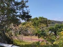 -鹤之洲湿地公园